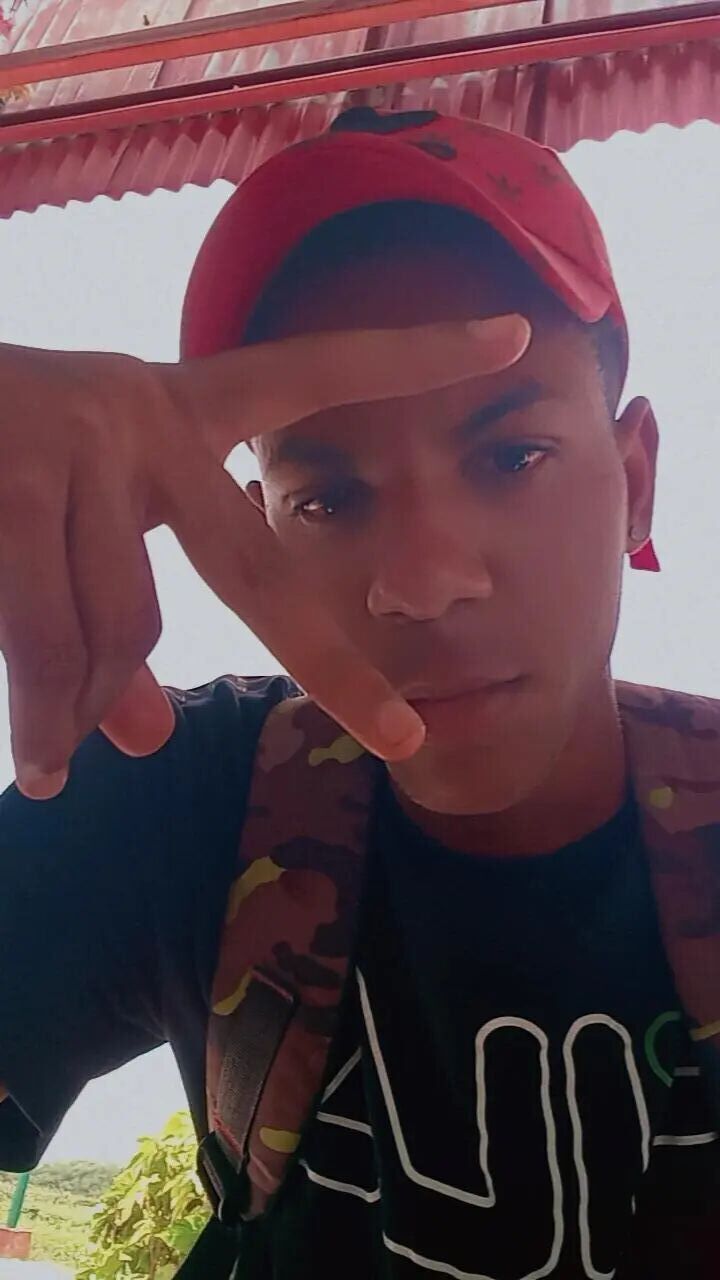  ,   Yander, 24 ,   ,   , c 