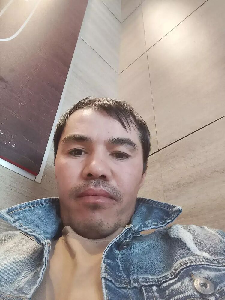  42573239  , 33 ,    