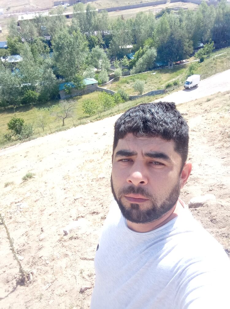  38177279  , 36 ,    