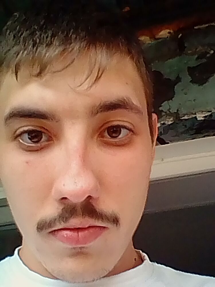 23831319  , 26 ,    