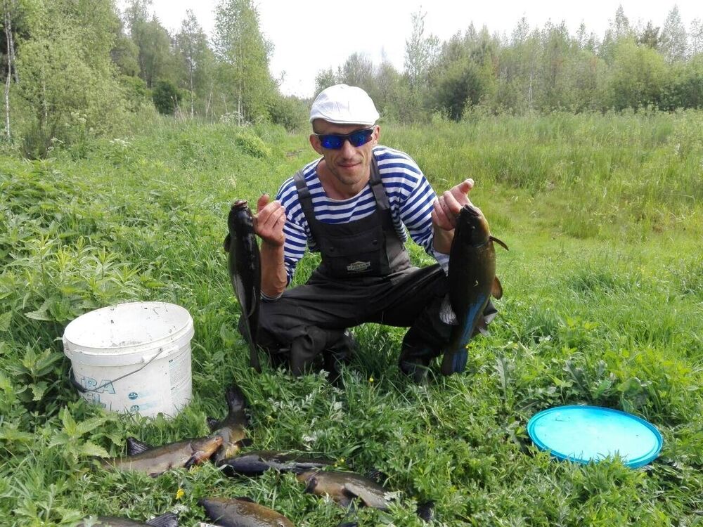 ���������� �����, ���� ������� ������, 43 ����, ������������ ��� c�������� ���������