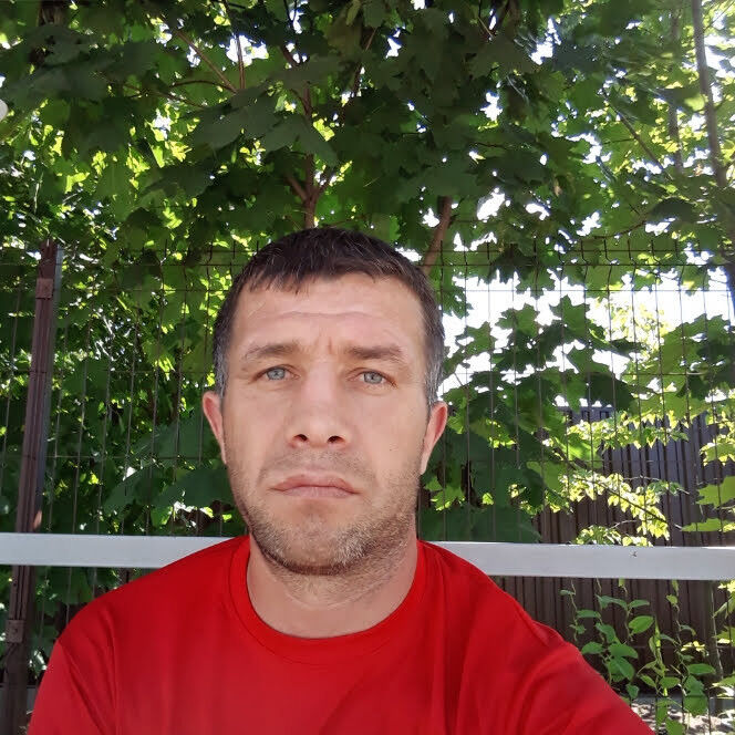  17016349  , 43 ,    