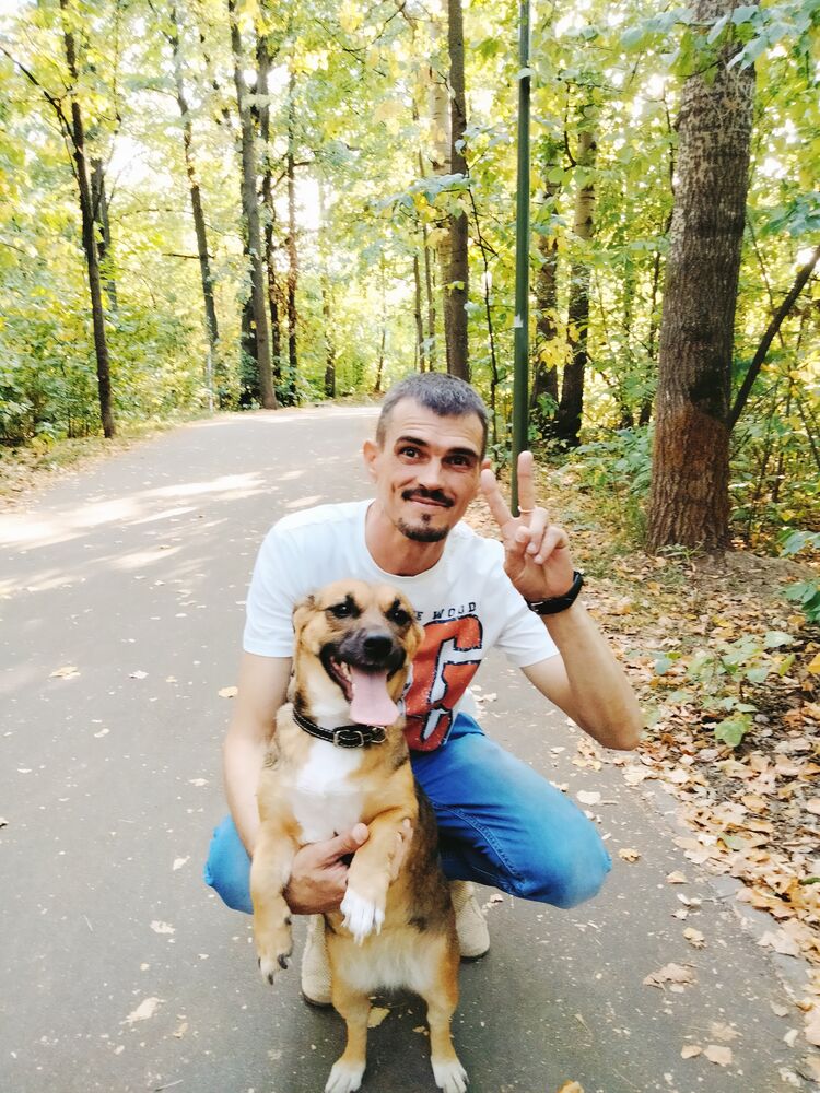 ���������� ������, ���� ������� ������, 44 ����, ������������ ��� ������, ����� � ���������