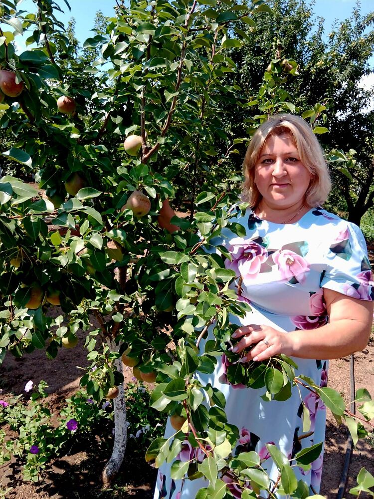 ���� 55595889 ������� �������, 40 ���, ���� ���������� � ���������