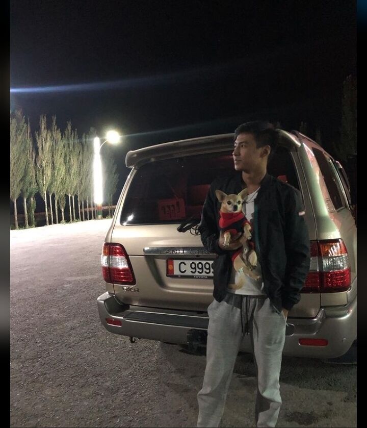 ���� 26682409 ����� Bars, 25 ���, ���� ���������� � �������