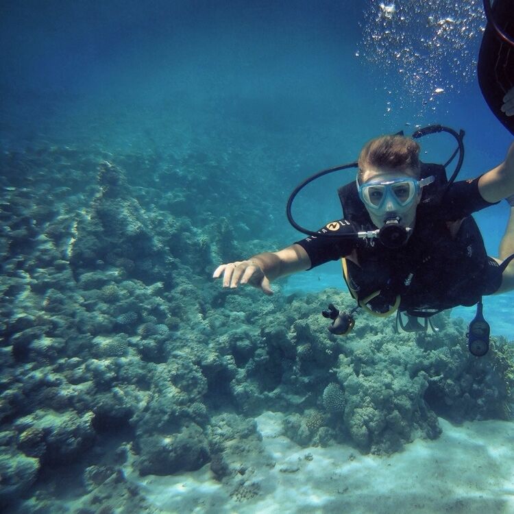 ���� 5032729 ������� ������, 32 ����, ���� ���������� � �����