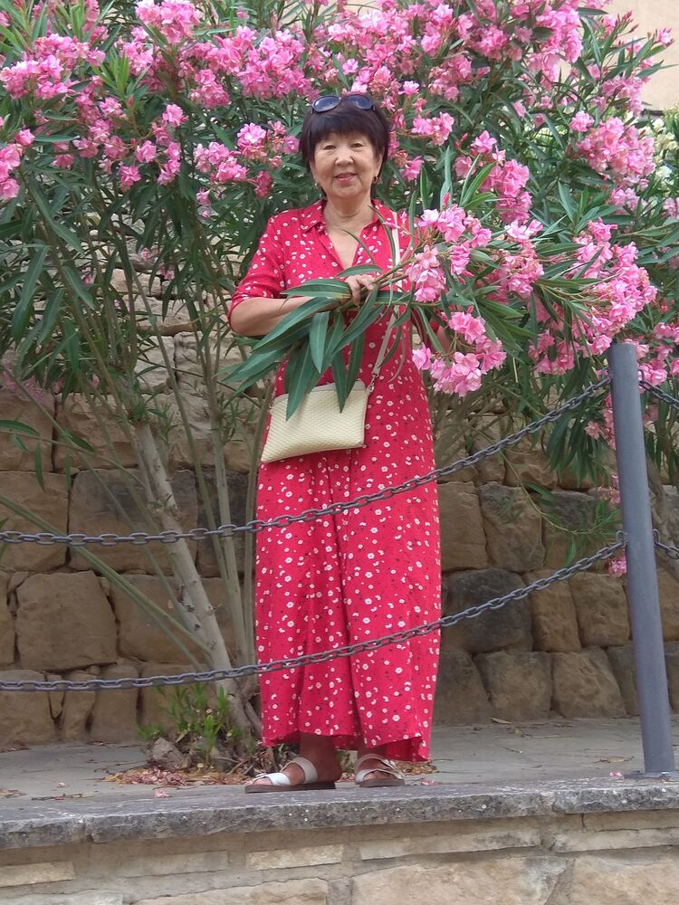 ���������� ������, ���� ������� ���������, 65 ���, ������������ ��� c�������� ���������