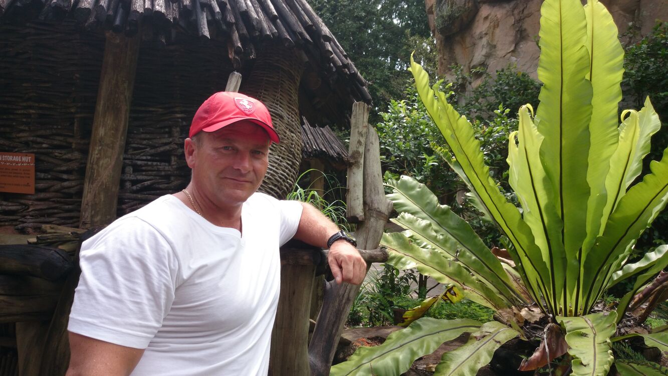 ���� 30562339 ������� ����, 50 ���, ���� ���������� � ��������