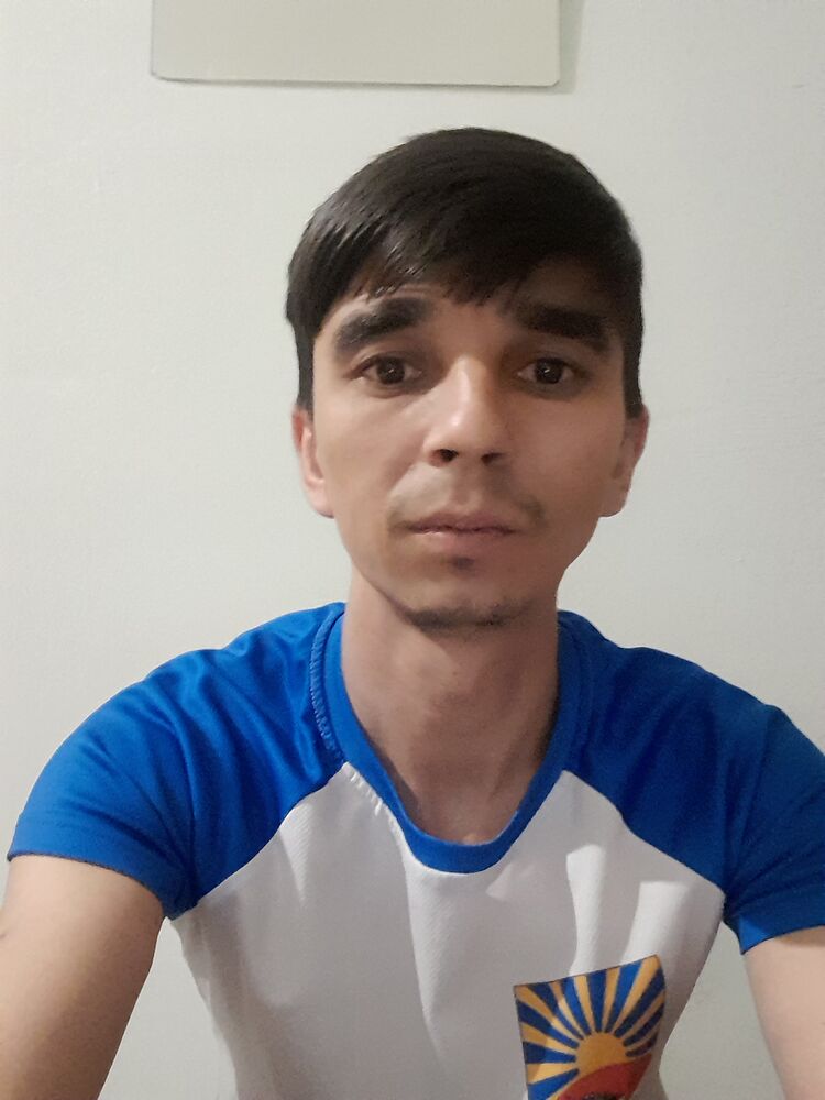  28038849  , 33 ,    