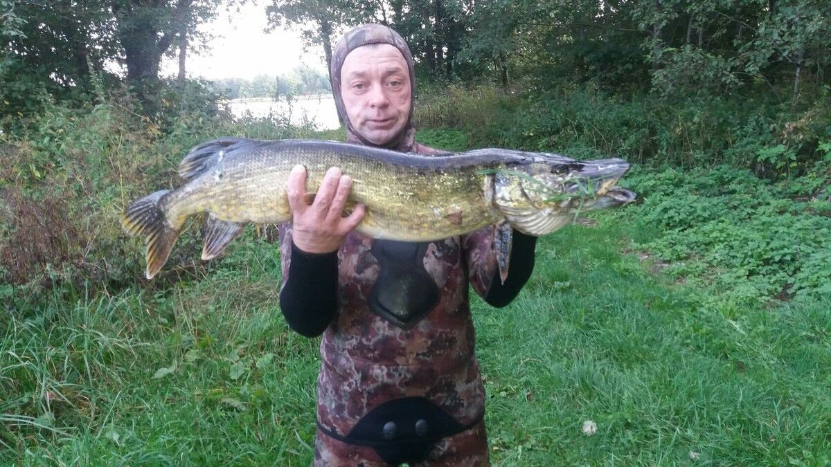 ���������� �������, ���� ������� VITYA, 48 ���, ������������ ��� ������, ����� � ���������, c�������� ���������