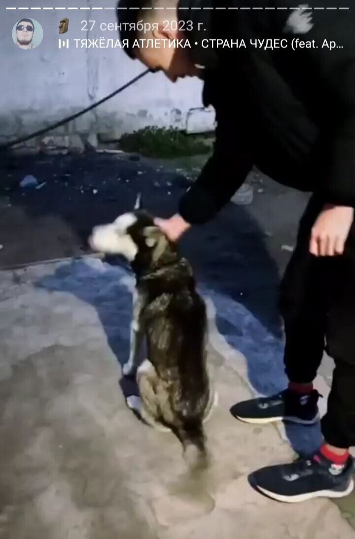  ,   , 24 ,   