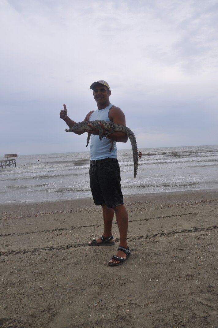 ���������� ������, ���� ������� ��, 29 ���, ������������ ��� ������, ����� � ���������, ���������