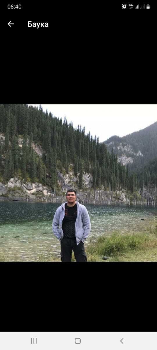 ���� 24624039 ������� Bauka, 28 ���, ���� ���������� � ������