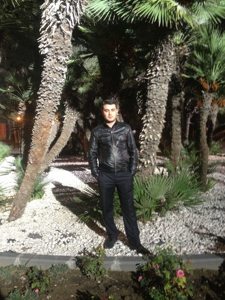 ���������� ����, ���� ������� Shamo, 41 ���, ������������ ��� ������, ����� � ���������, c�������� ���������