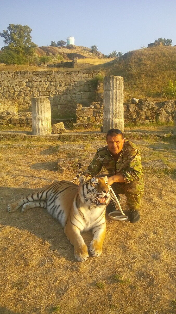 ���� 11192849 ������� �������, 47 ���, ���� ���������� � �����