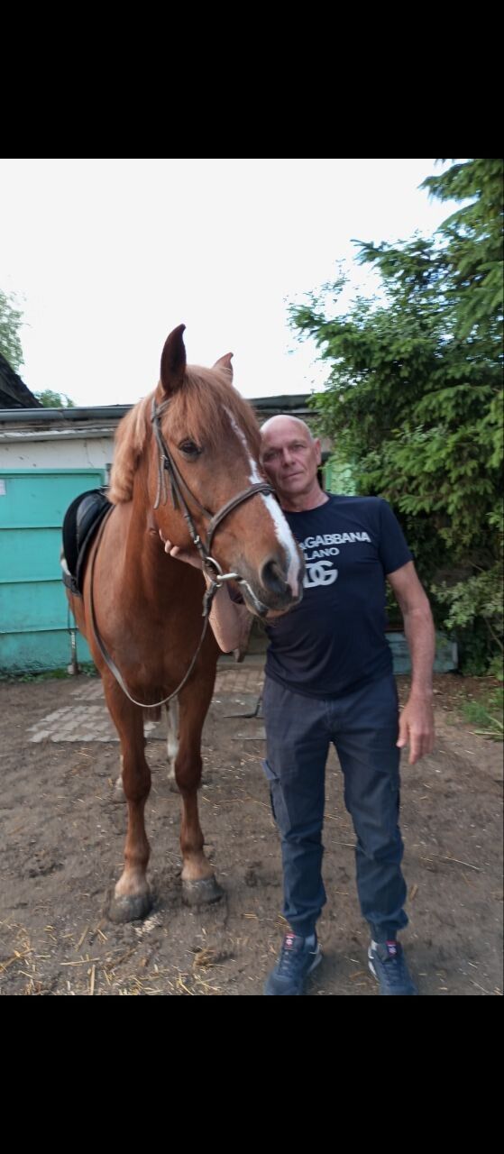  53027329  Sergey, 57 ,    