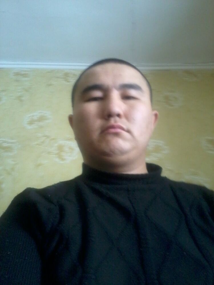  8691629  Jargal, 35 ,    