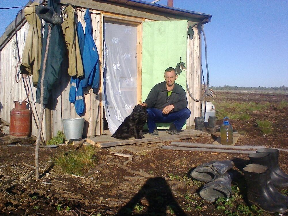  6602919  , 50 ,    -