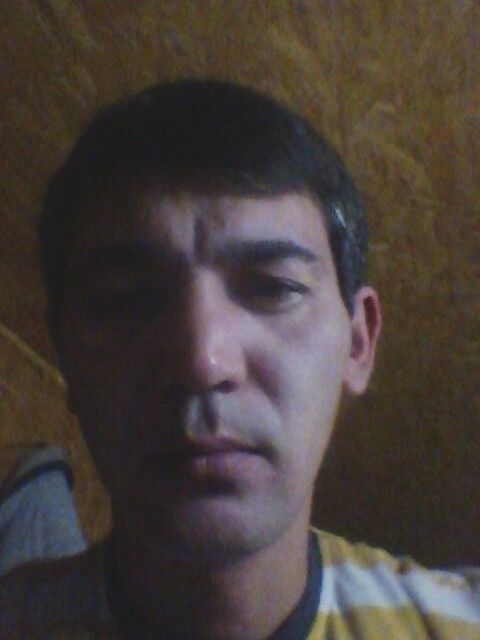 ���������� �����, ���� ������� JANBO, 46 ���, ������������ ��� ������