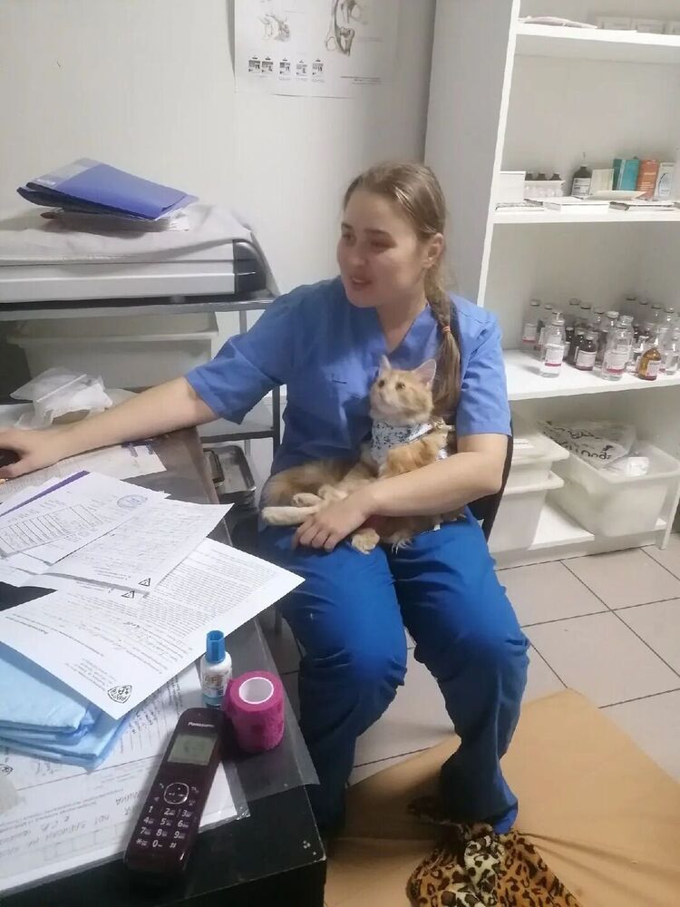 ���������� ���������, ���� ������� �������, 33 ����, ������������ ��� ���������