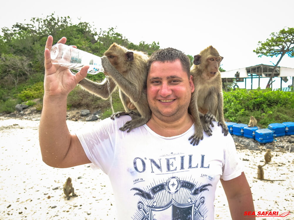 ���������� ����������, ���� ������� �������, 42 ����, ������������ ��� ������, ����� � ���������