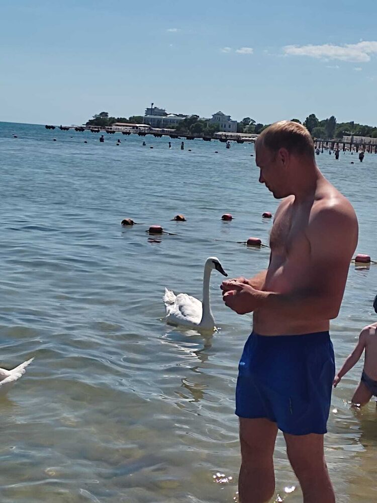 ���� 42707919 ������� �������, 39 ���, ���� ���������� � ������