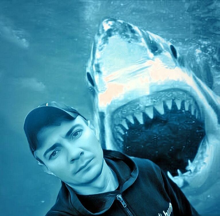 ���������� ���������, ���� ������� ������������, 39 ���, ������������ ��� ������, ����� � ���������, c�������� ���������, ���������