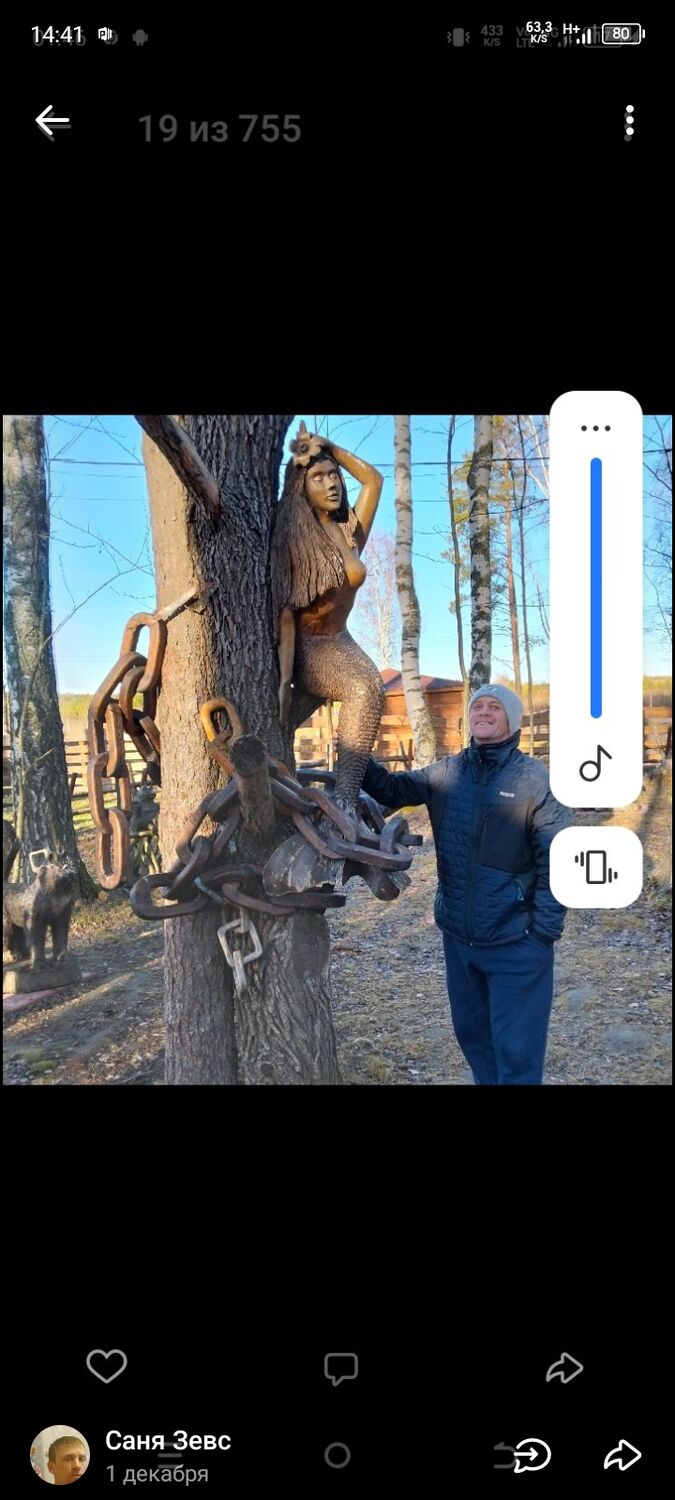 ���� 48917909 ������� ����, 39 ���, ���� ���������� � ���������