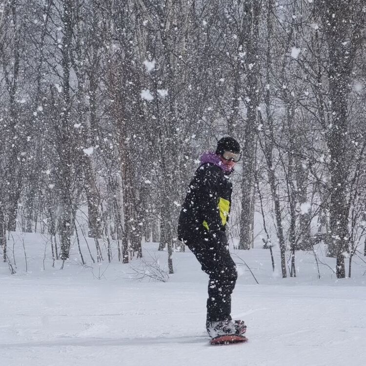 ���������� ���, ���� ������� ������, 36 ���, ������������ ��� ������, ����� � ���������