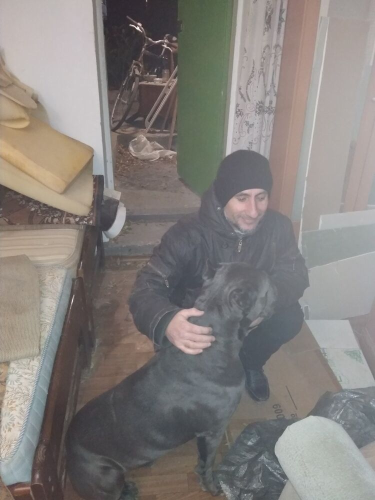 ���������� ��������, ���� ������� ���������, 44 ����, ������������ ��� ������, ����� � ���������, c�������� ���������