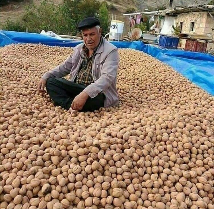 ���� 11141349 ������� Ruslan, 52 ����, ���� ���������� � ���������