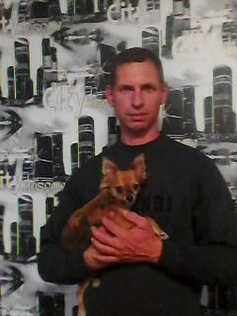 ���� 31520099 ������� �����, 44 ����, ���� ���������� � ������