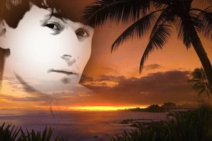 ���� 20192039 ������� ����, 38 ���, ���� ���������� � ������