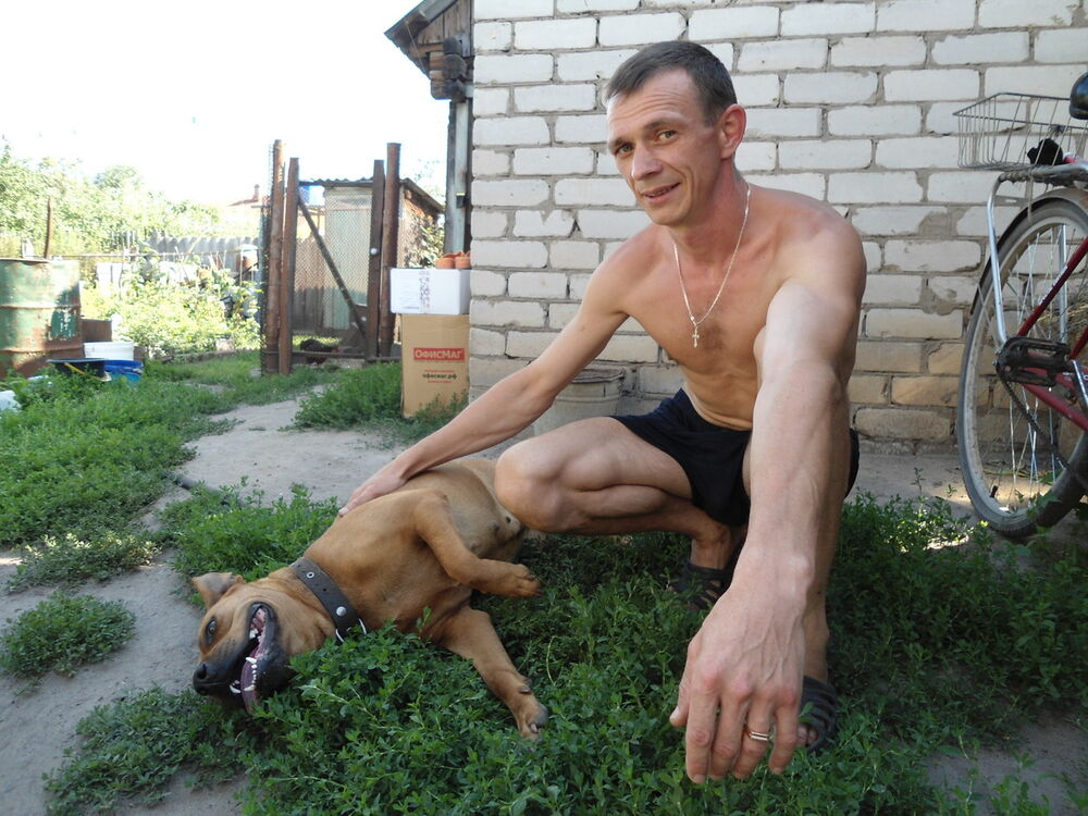 ���������� �������, ���� ������� �������, 46 ���, ������������ ��� ������