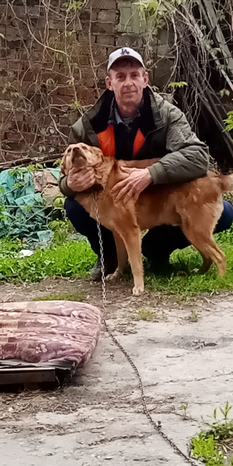 ���������� ������, ���� ������� ����, 61 ���, ������������ ��� ����� � ���������, c�������� ���������