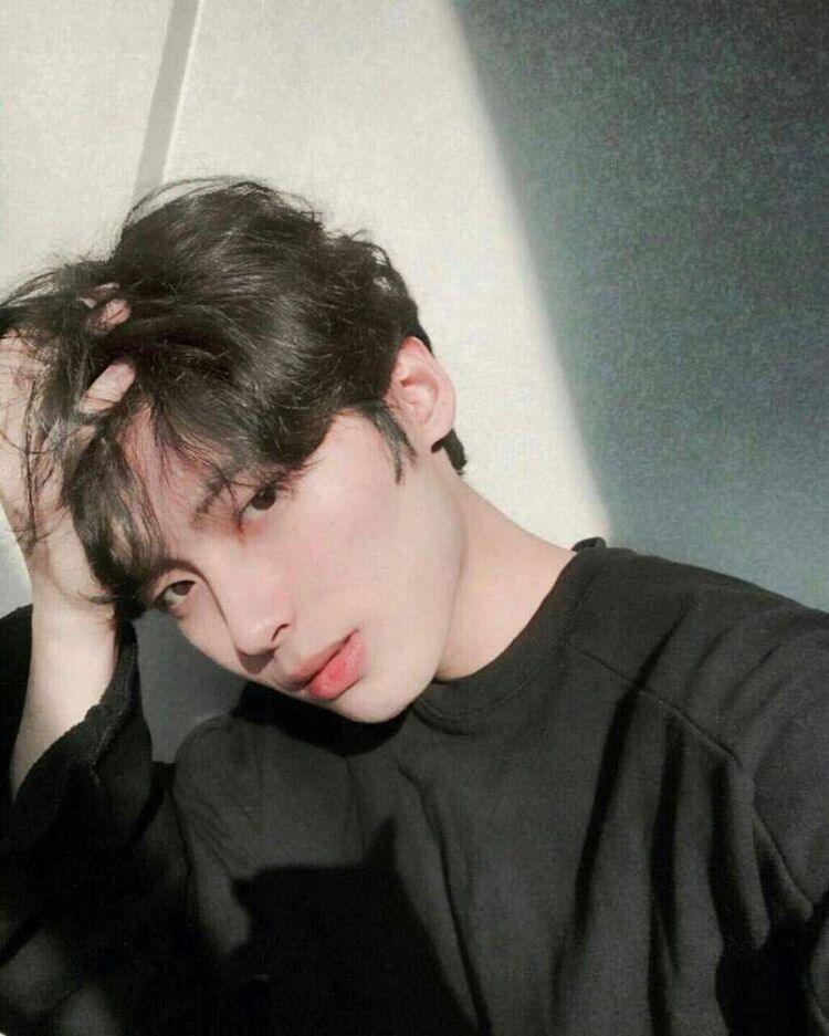 ���� 24543019 ����� ����, 24 ����, ���� ���������� � ���������������