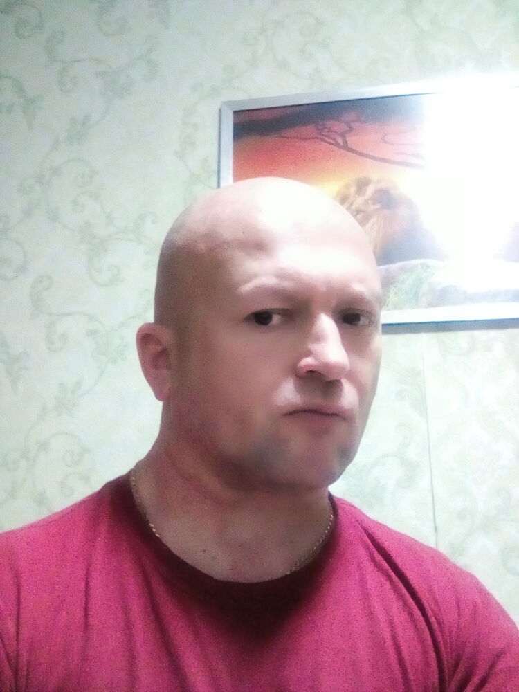  24761819  , 49 ,    