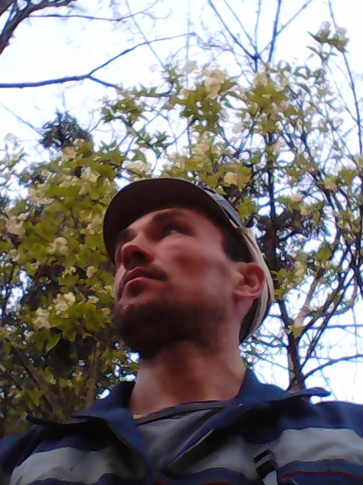 ���� 7323359 ������� ����, 40 ���, ���� ���������� � ����������