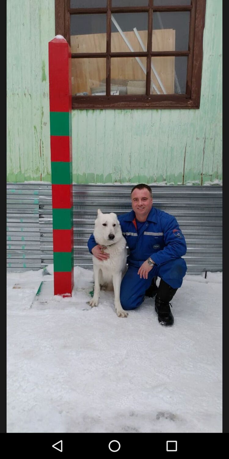 ���������� ������, ���� ������� ������, 50 ���, ������������ ��� ������, ����� � ���������