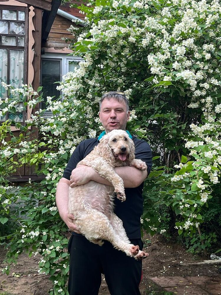 ���� 35669219 ������� �������, 57 ���, ���� ���������� � ������