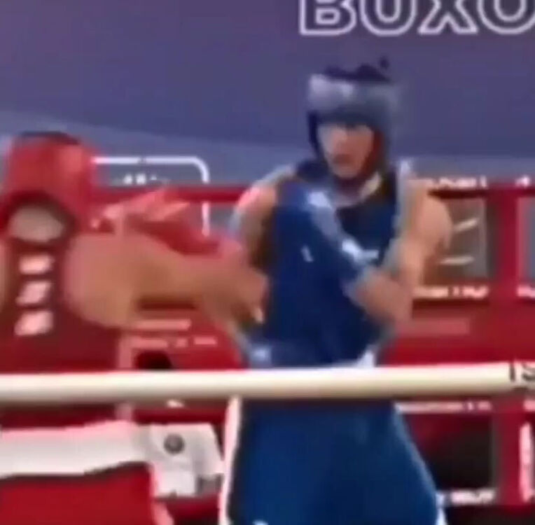 ���������� ������, ���� ����� ���, 24 ����, ������������ ��� ������, ����� � ���������, c�������� ���������, ���������