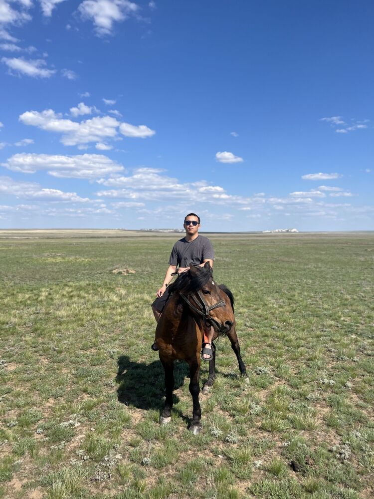 ���� 55166149 ������� �����, 30 ���, ���� ���������� � �����