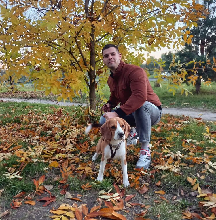 ���������� �����, ���� ������� ���������, 32 ����, ������������ ��� ������, ����� � ���������, c�������� ���������