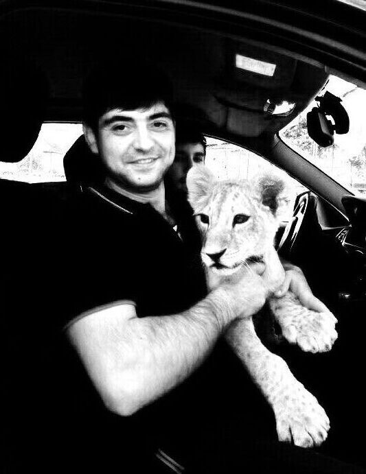 ���� 31722809 ������� Vano, 40 ���, ���� ���������� � �������-��-����