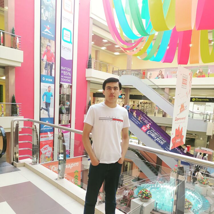 ���������� ������������, ���� ����� ������, 24 ����, ������������ ��� ����� � ���������, c�������� ���������