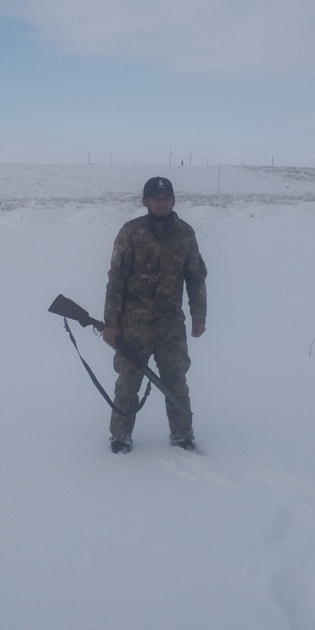 ���������� ���������, ���� ������� ������, 31 ���, ������������ ��� ������, ����� � ���������