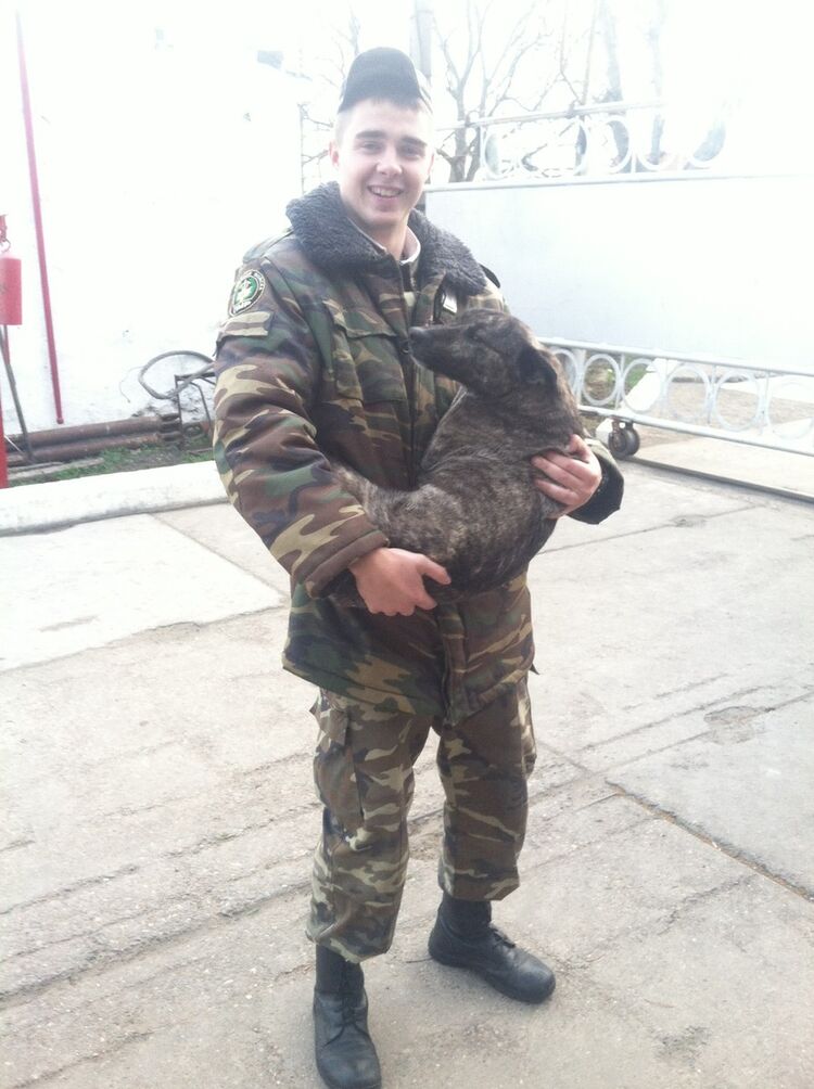 ���� 11380499 ������� ����, 31 ���, ���� ���������� � �����-����������