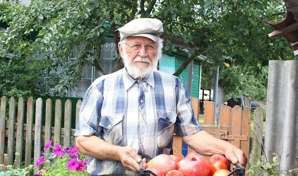  ,   , 81 ,     , c , 