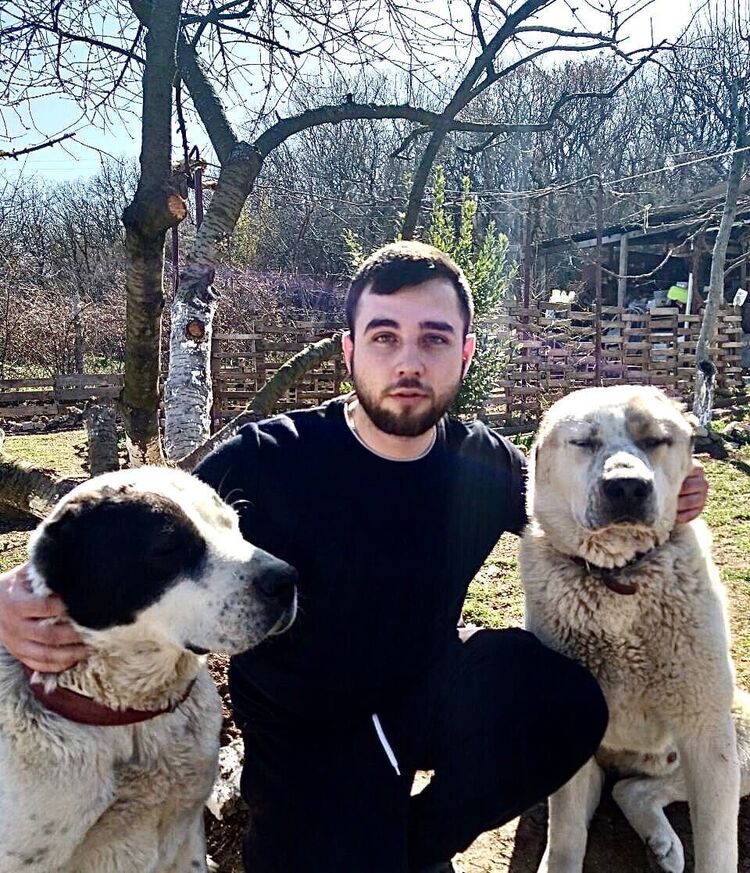 ���������� �����������, ���� ������� ��������, 29 ���, ������������ ��� ������, ����� � ���������, c�������� ���������, ���������