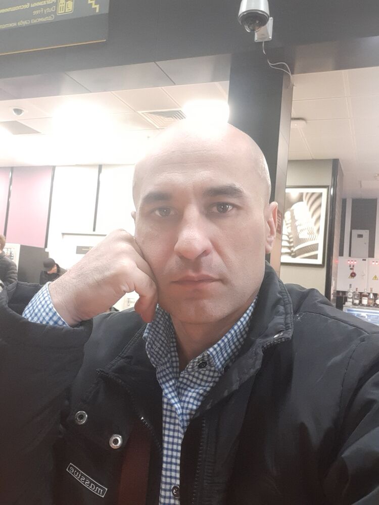  31015569  , 43 ,    
